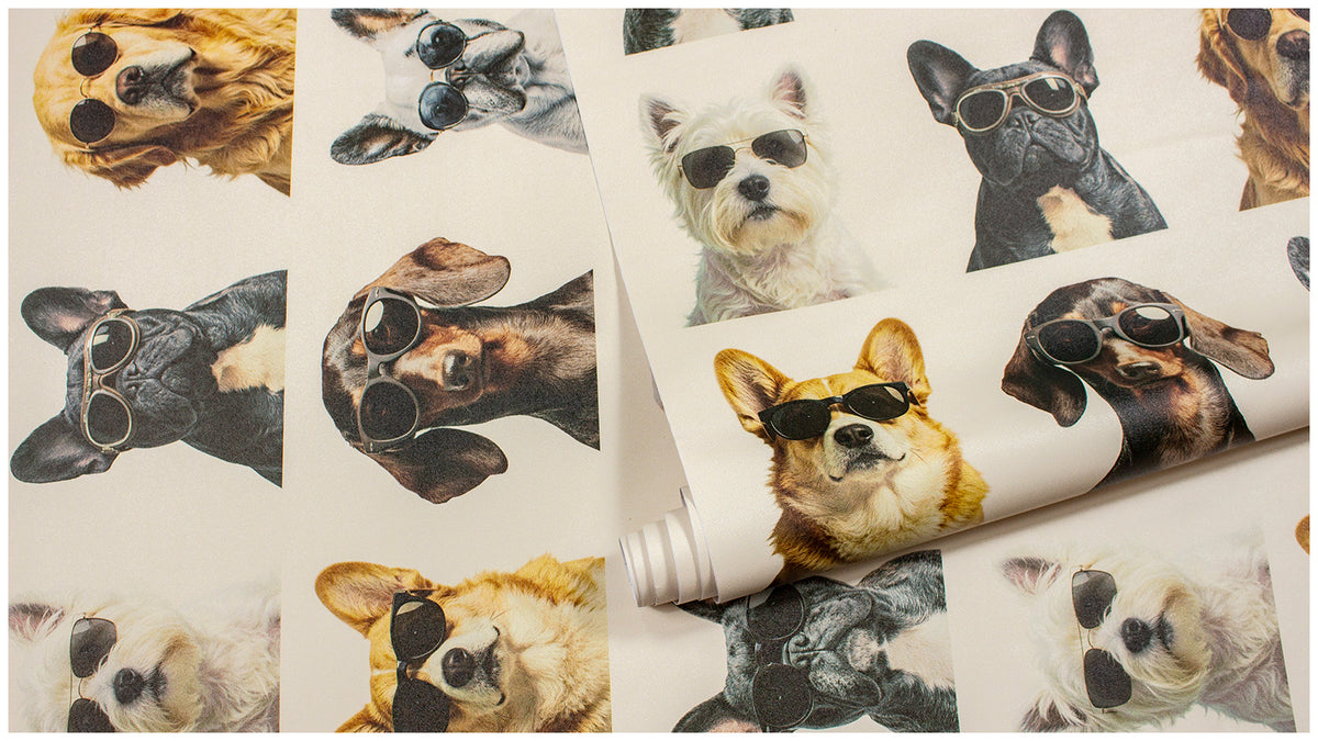 HaokHome Peel and Stick Wallpaper Cool Dog Sunglasses Wall Mural Removable Self Adhesive Whimsical Pet Wallpaper