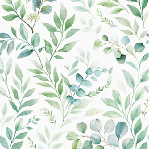 Watercolor eucalyptus peel and stick wallpaper with soft green hand painted leaf botanical pattern on white background