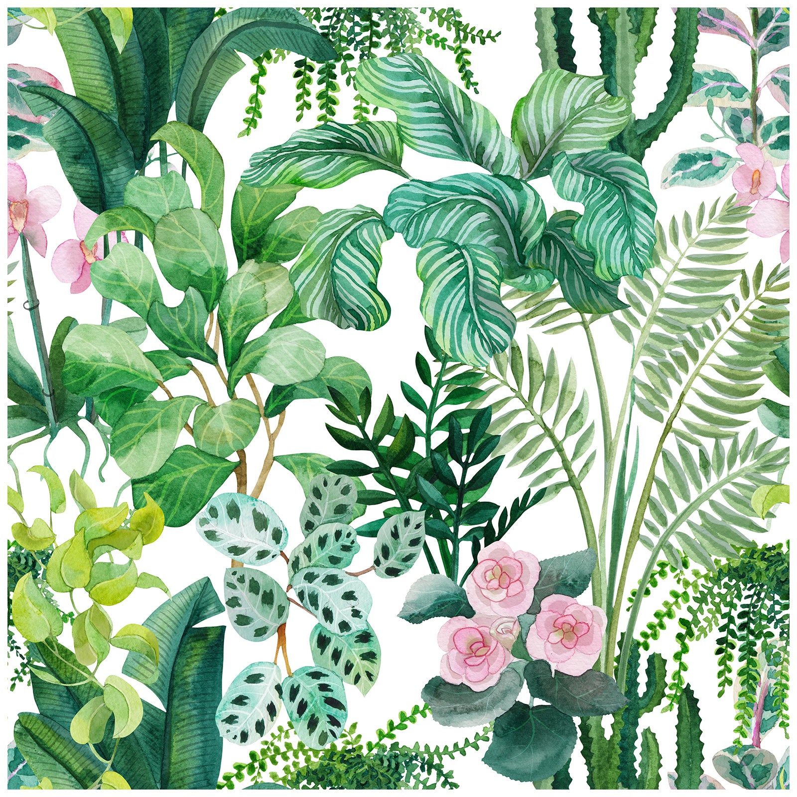HaokHome Bright Tropical Jungle Peel and Stick Wallpaper, Fresh Watercolor Botanical Greenery Removable Self Adhesive Wallpaper for Home Decor