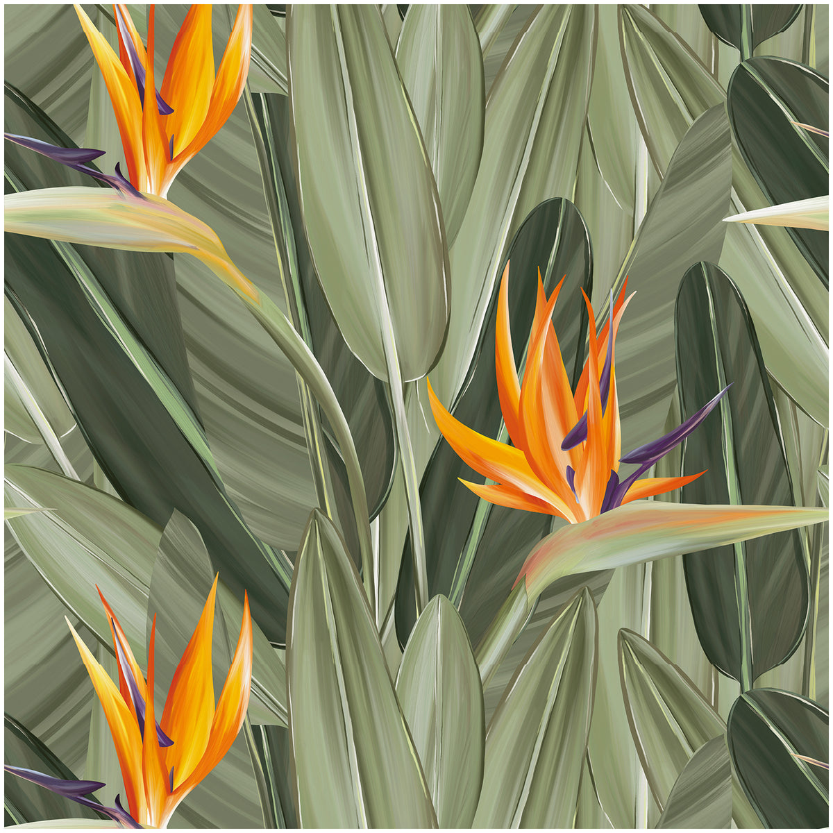 tropical bird print wallpaper