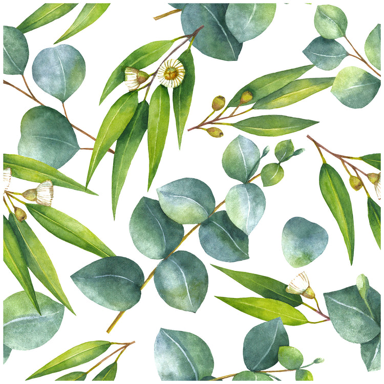 Eucalyptus Leaf Peel and Stick Wallpaper Green Leaves Wall Contact Paper for Rooms Cabinets Shelf