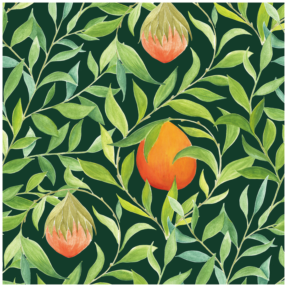 Orange Tropical Fruit and Leaves Wallpaper | Nature-Inspired