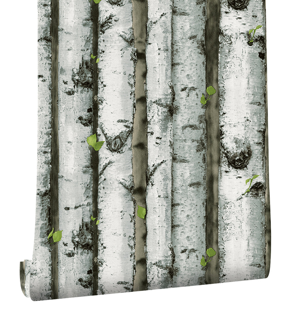 HaokHome 92073 Realistic Forest Birch Tree Wood Wallpaper Peel and Stick Shiplap Self Adhesive Removable Contact Wall Paper