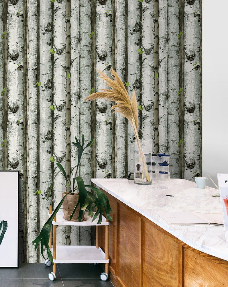 HaokHome 92073 Realistic Forest Birch Tree Wood Wallpaper Peel and Stick Shiplap Self Adhesive Removable Contact Wall Paper