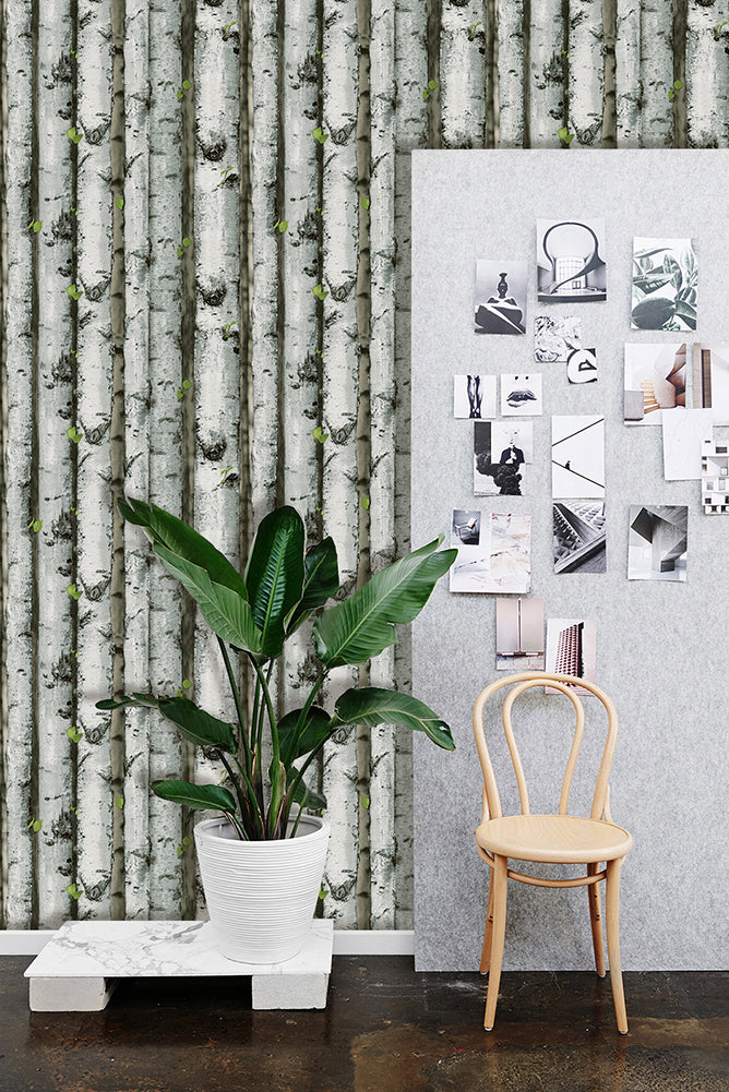 HaokHome 92073 Realistic Forest Birch Tree Wood Wallpaper Peel and Stick Shiplap Self Adhesive Removable Contact Wall Paper