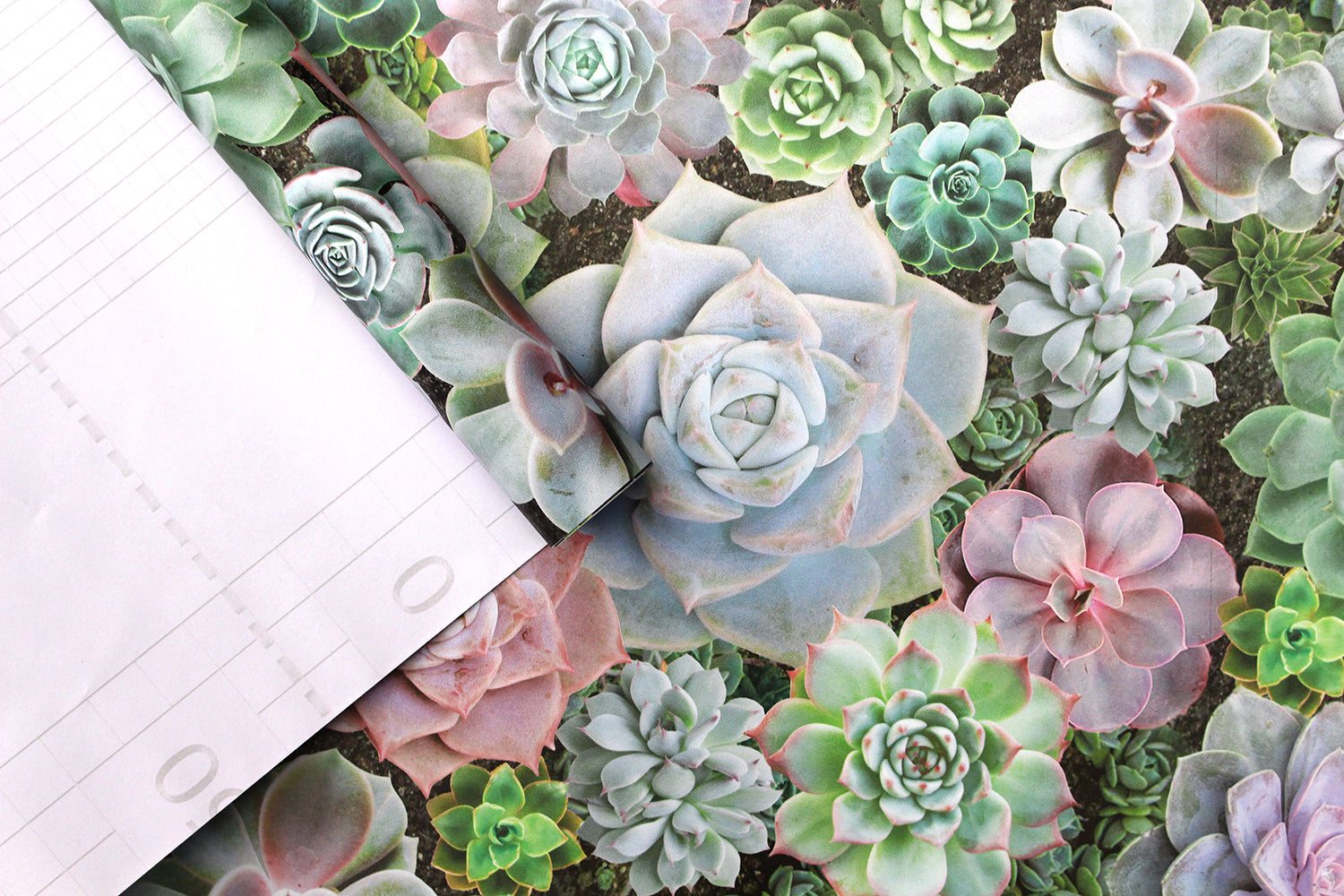 HaokHome 93023 Succulent Plants Wallpaper Peel and Stick Green Pink Purple Vinyl Self Adhesive Removable Contact Wall Paper